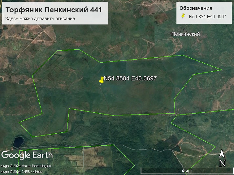 Файл:Торфяник Пенкинский 441.jpg