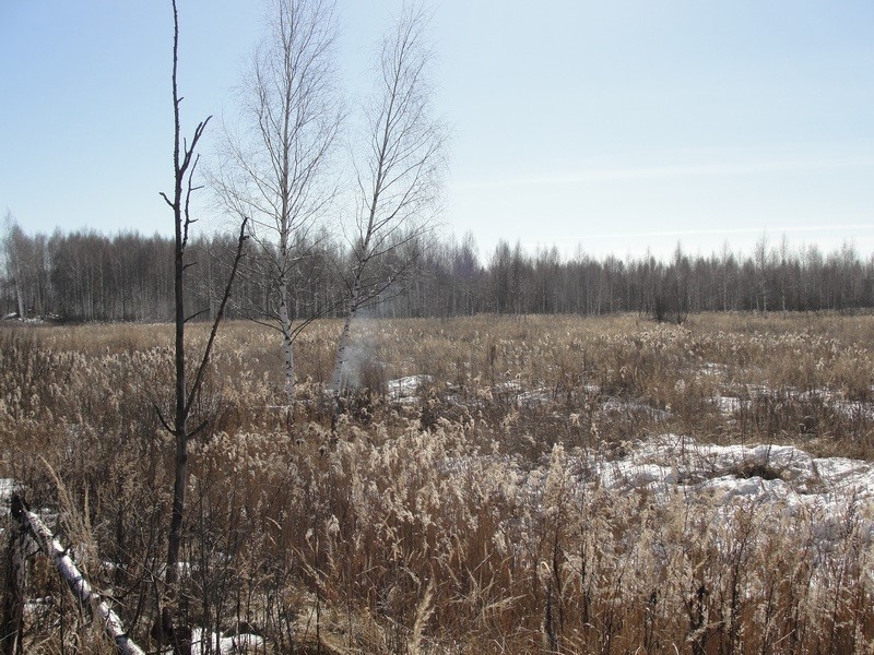 Файл:Озерки-820-март 2015.jpg