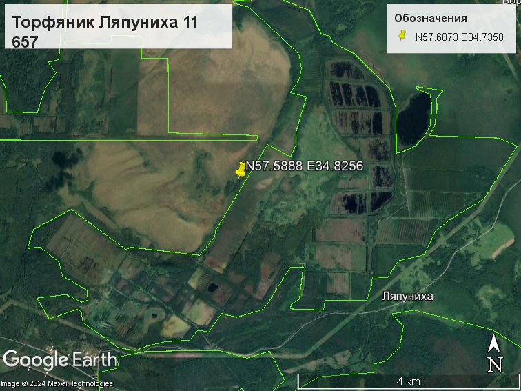Файл:Торфяник Ляпухина 11 657.jpg