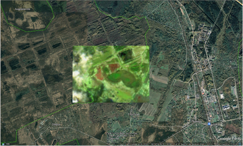 Гугл планета.png