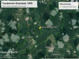 Торфяник Боровая 1859.jpg