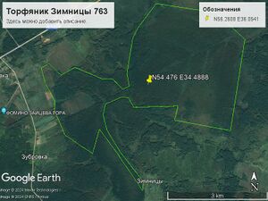 Торфяник Зимницы 763.jpg