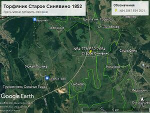 Торфяник Старое Синявино 1852.jpg