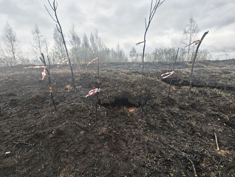 Файл:Photo 2026-04-26 18-45-39.jpg