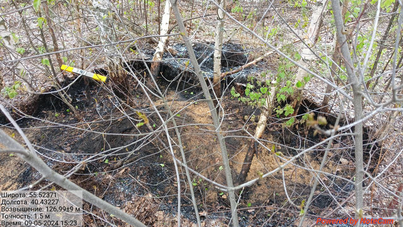Файл:Image 2024-05-13 21-45-08.png