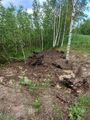 Миниатюра для версии от 20:20, 9 июня 2024