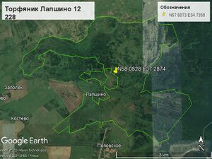 Торфяник Лапшино 12 228.jpg