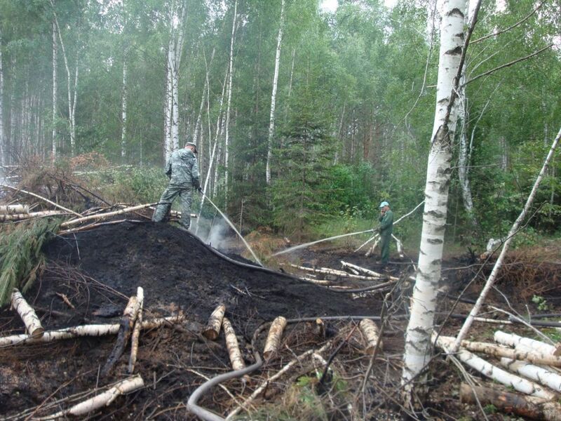 Файл:943996920190708172606.jpg