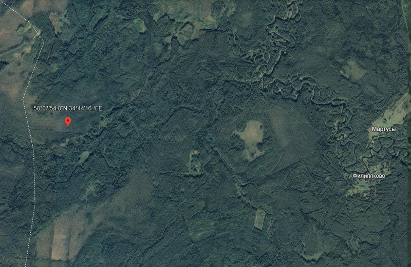 Файл:Торфяник Мартусы 6114.png