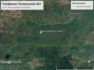 Торфяник Пенкинский 441.jpg
