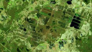 Berendeevo sentinel1.jpg