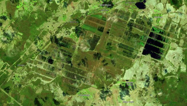 Berendeevo sentinel1.jpg