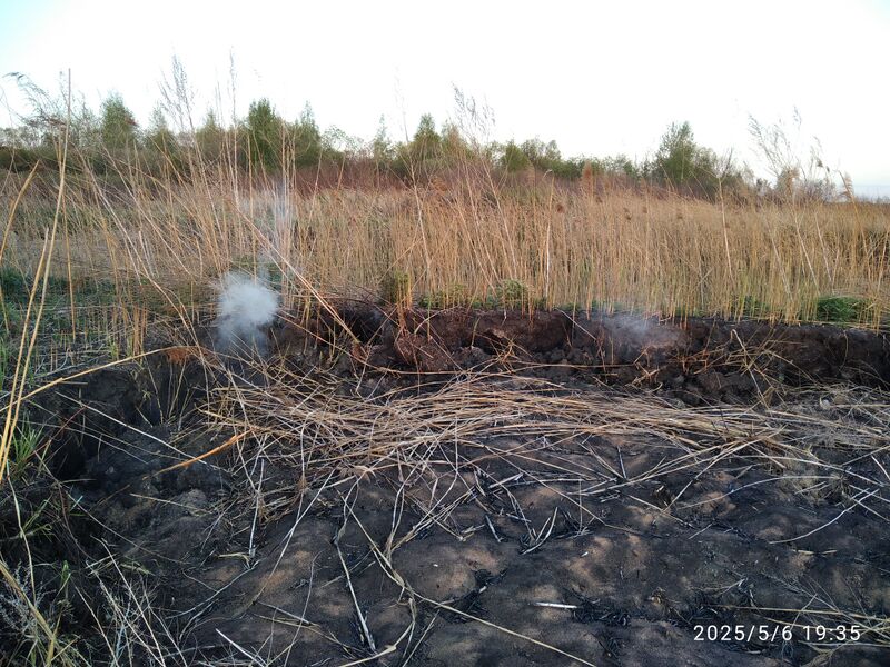 Файл:1746706914226.jpg