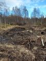 Миниатюра для версии от 19:58, 6 октября 2024