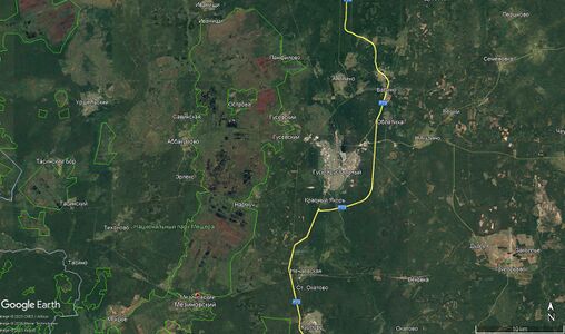 Торфяник Мезиновский 730.jpg