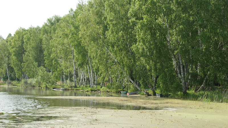Файл:Image 2024-05-15 18-41-35.png