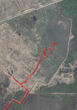 Банный остров 26-04-22.png