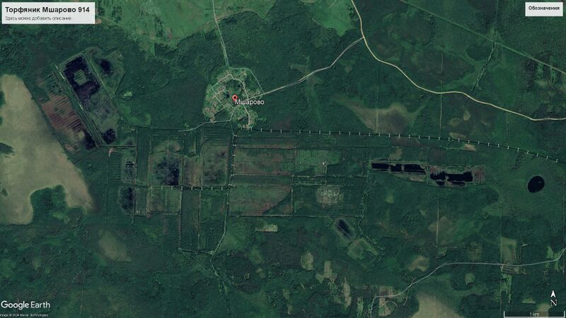 Файл:Торфяник Мшарово 914.jpg