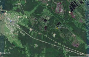 Торфяник Николо-Полома 701.jpg