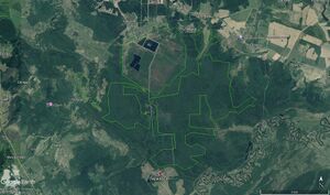 Торфяник Перелесь 10282.jpg