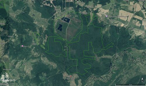 Торфяник Перелесь 10282.jpg