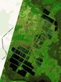Миниатюра для версии от 10:31, 17 мая 2024