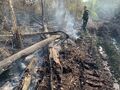 Миниатюра для версии от 14:35, 2 июля 2024