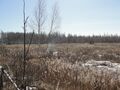 Миниатюра для версии от 21:22, 25 июня 2024