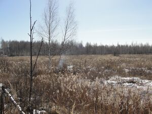 Озерки-820-март 2015.jpg