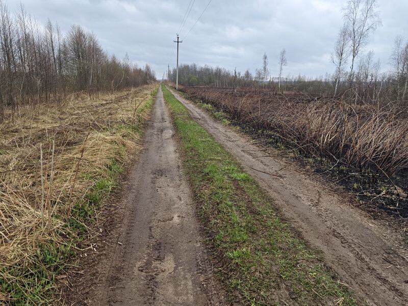 Файл:Photo 2026-04-26 19-03-29.jpg