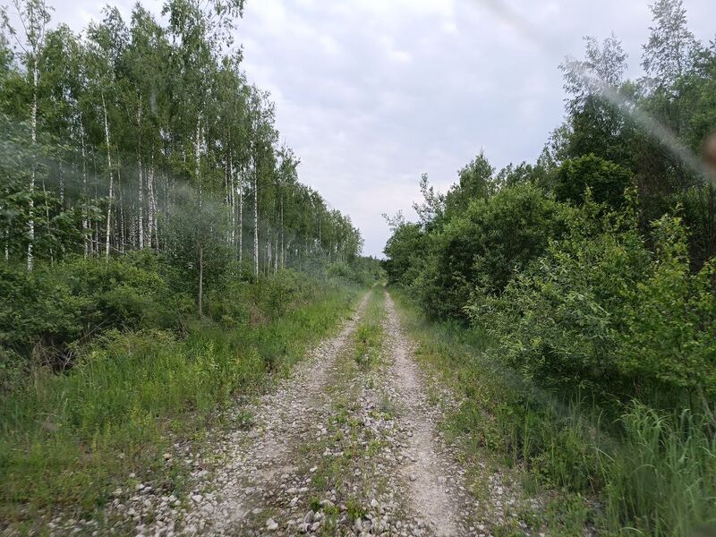 Файл:Photo 29@13-06-2025 16-50-52.jpg