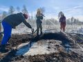 Миниатюра для версии от 10:10, 20 марта 2025