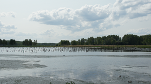 Image 2024-05-15 18-41-18.png