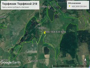 Торфяник Торфяной 219.jpg