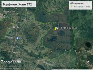 Торфяник Холм 772.jpg