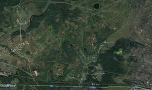 Торфяник Беливо 10880.jpg