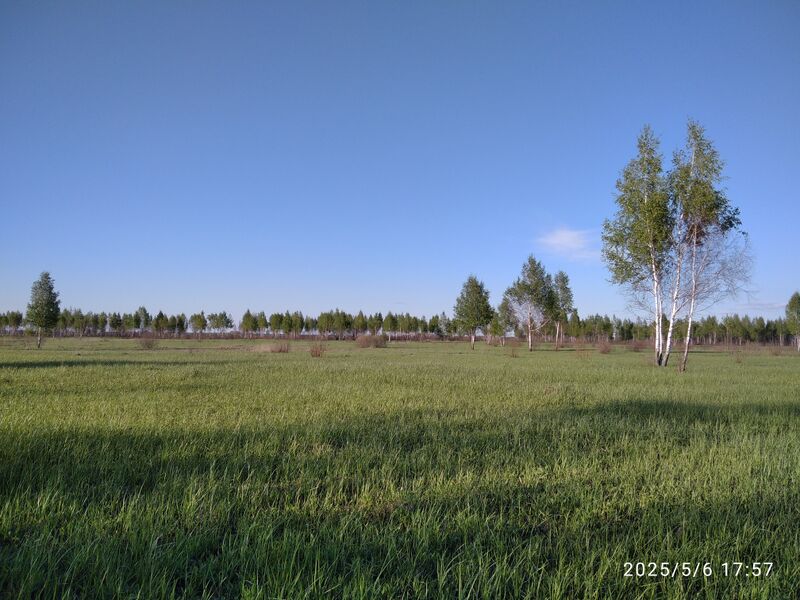 Файл:1746706914321.jpg
