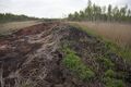 Миниатюра для версии от 20:52, 25 июня 2024