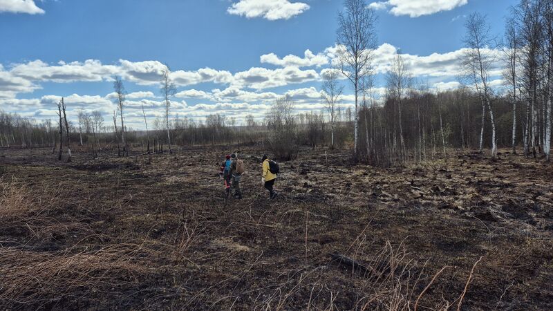Файл:20260425 140824.jpg