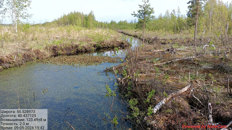 Файл:Image 2024-05-13 21-51-03.png