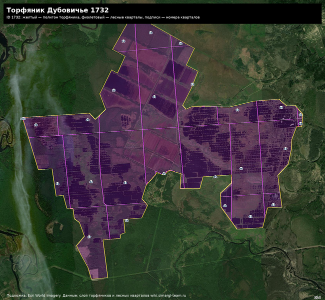 Файл:Peat 1732 satellite quarters.png
