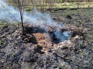 Очаг Берендеево 13052018.jpg