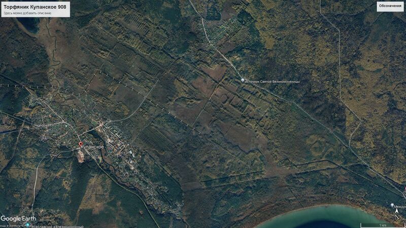 Файл:Торфяник Купанское 908.jpg