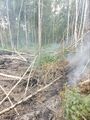 Миниатюра для версии от 19:26, 24 июля 2025