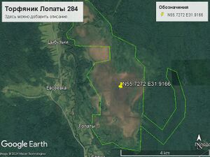 Торфяник Лопаты 284.jpg
