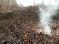 Миниатюра для версии от 17:55, 6 июля 2024