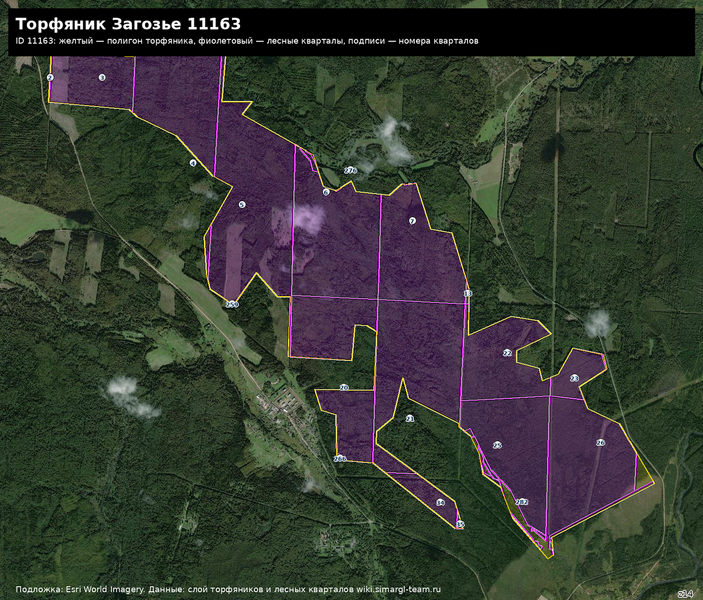 Файл:Peat 11163 satellite quarters.png