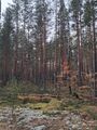 Миниатюра для версии от 16:39, 13 октября 2025