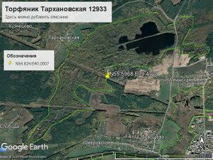 Торфяник Тархановская.jpg
