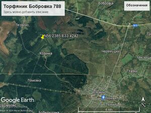 Торфяник бобровка 788.jpg